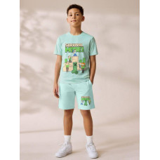 Летний комплект для мальчика Zara, с принтом Майнкрафт, рост 110 см (2633650985-KID)