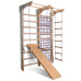 Детский спортивный уголок Baby Sport SB Kinder 3 в 1 220x160 см дерево Коричневый (Kinder 3 в 1-220)