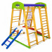 Детский спортивный игровой комплекс Baby Sport SB Карапуз Дерево 132х124х150 см (Plus 2)