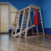 Детский уличный комплекс Baby Sport SB Акварелька 150х124х132 см игровой спортивный Дерево Коричневый (Акварелька- outdoor)