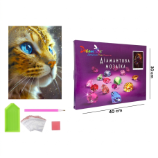 Алмазная мозаика "Морозный Взгляд" 30 × 40 см (DP-1843244875)