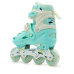 Ролики Scale Sports LF 605-2 размер 34-38 стелька 21-23.5 см Mint (DP-1364961067)