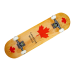 Скейтборд Canada Red 100% Original-i Multicolor 100 кг (DP-2008015934)