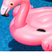 Надувной плотик детский от 3 лет Розовый Фламинго Intex 142x137x97см розовый (IND-57558) Надувной плотик детский от 3 лет Розовый Фламинго Intex 142x137x97см розовый (IND-57558)