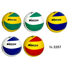 Волейбольный мяч Minksa Pro Volley №5 (DP-1235967069)