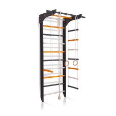 Детский спортивный уголок SportBaby 8-Lux 1-220 со шведской стенкой, турником, канатом, кольцами и лестницей 220 см (SB-3962)