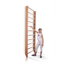 Шведская стенка SportBaby Baby 0-240 из дерева для дома и квартиры (SB-2057)